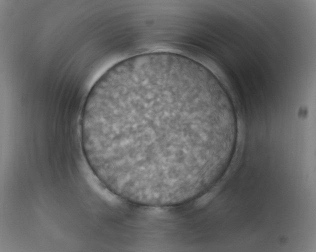 X0000113230814200910081404