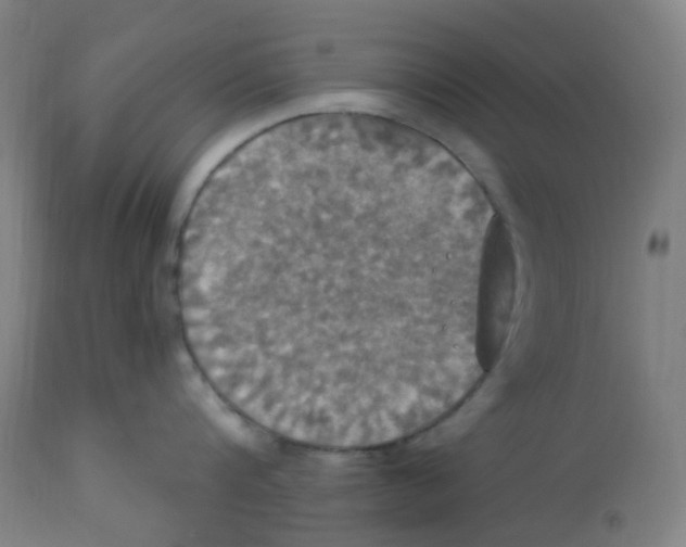 X0000113230816200910081404