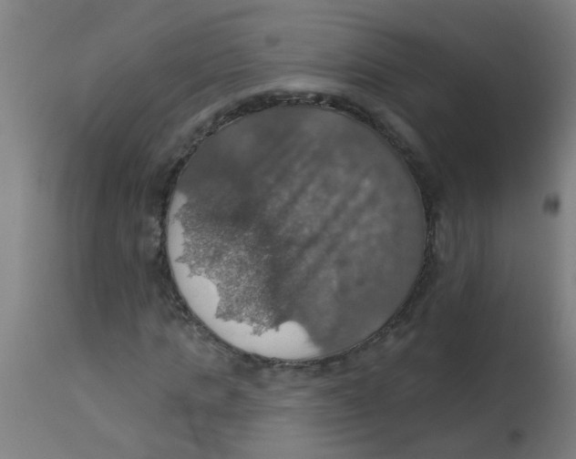 X0000113230821200910081403