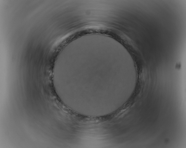 X0000113230822200910081403