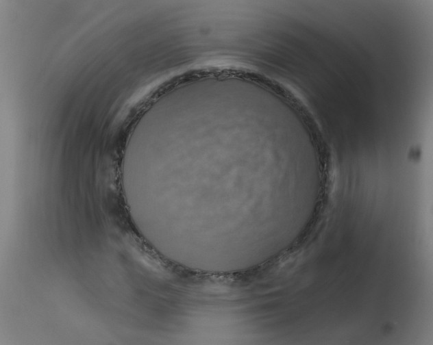 X0000113230823200910081403