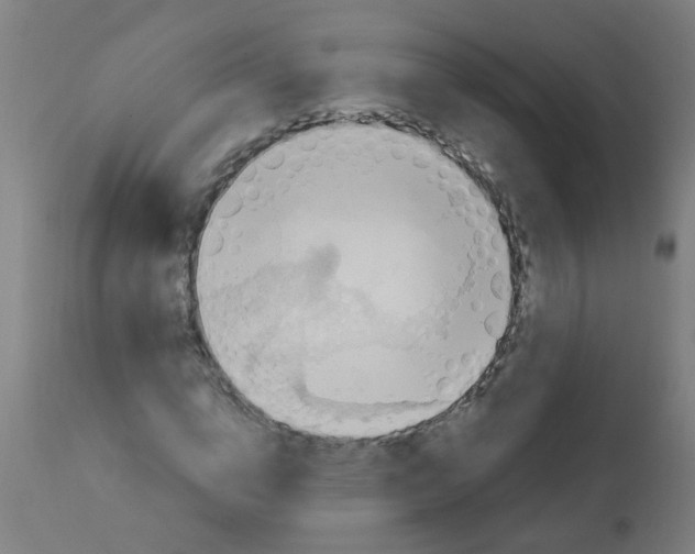 X0000113230824200910081403