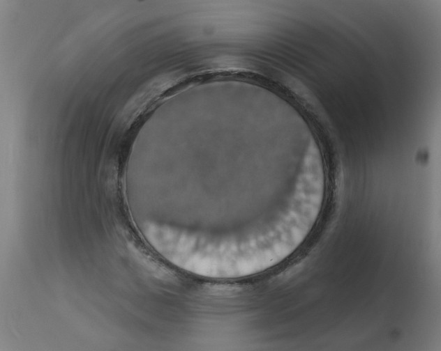 X0000113230825200910081403