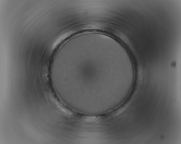 X0000113230826200910081404