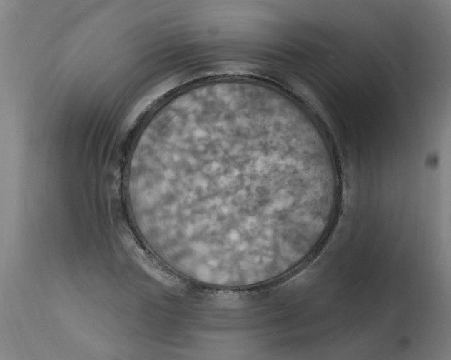 X0000113230827200910081404