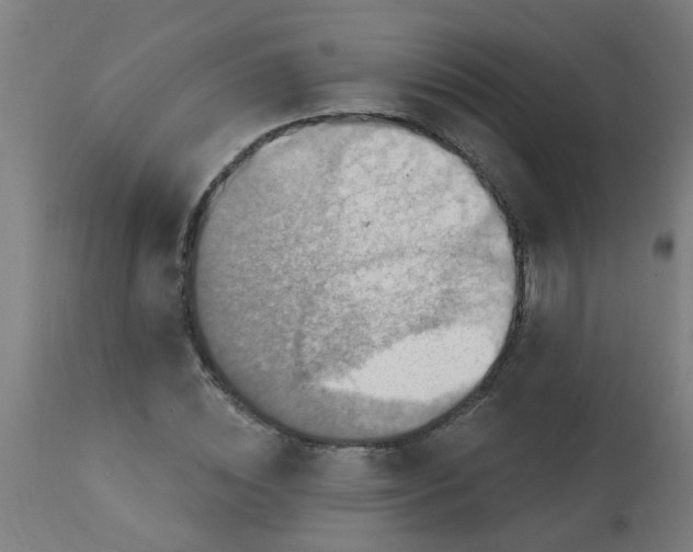 X0000113230828200910081404