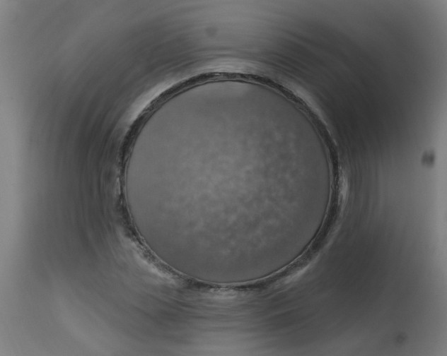 X0000113230829200910081404