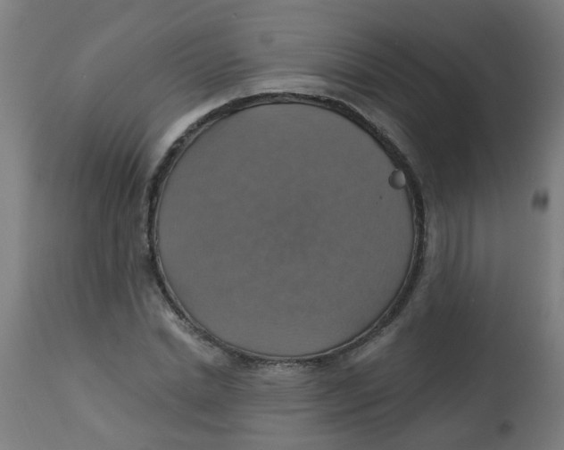 X0000113230830200910081404