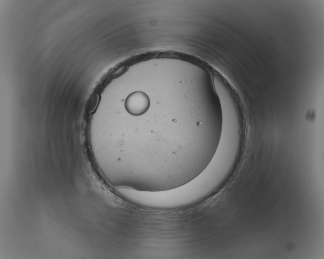 X0000113230832200910081404