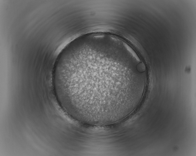 X0000113230834200910081404