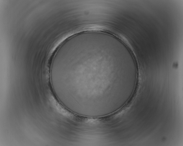 X0000113230835200910081404