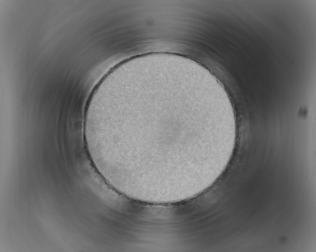 X0000113230836200910081404