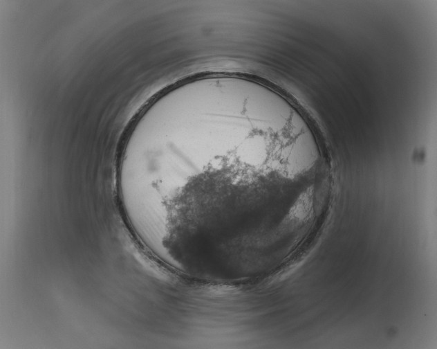 X0000113230837200910081404