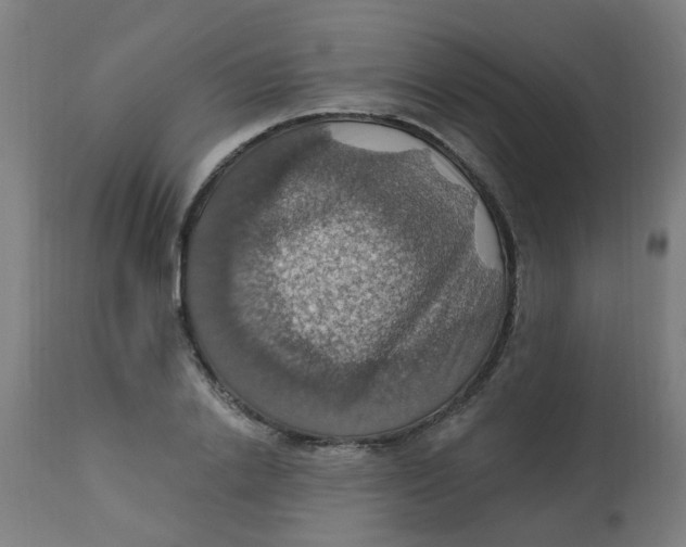 X0000113230838200910081404