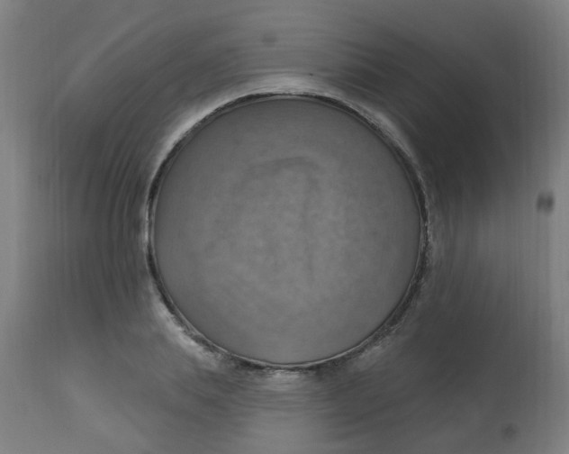 X0000113230839200910081404