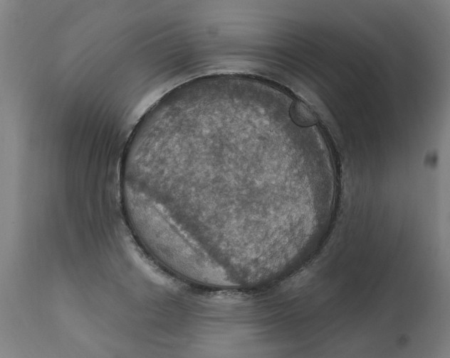 X0000113230842200910081404