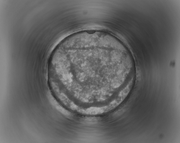 X0000113230843200910081404