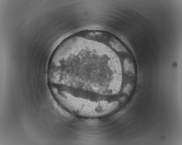 X0000113230845200910081404