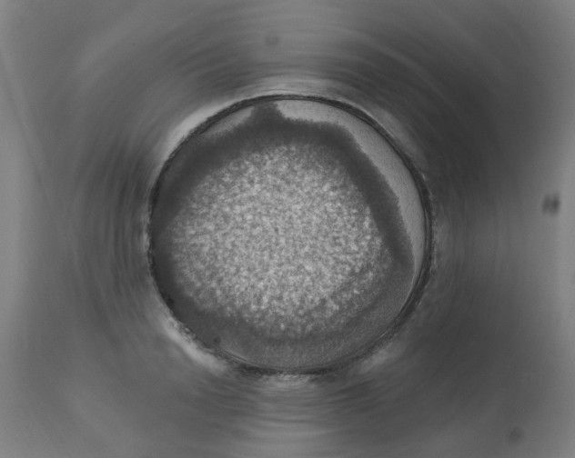 X0000113230846200910081404