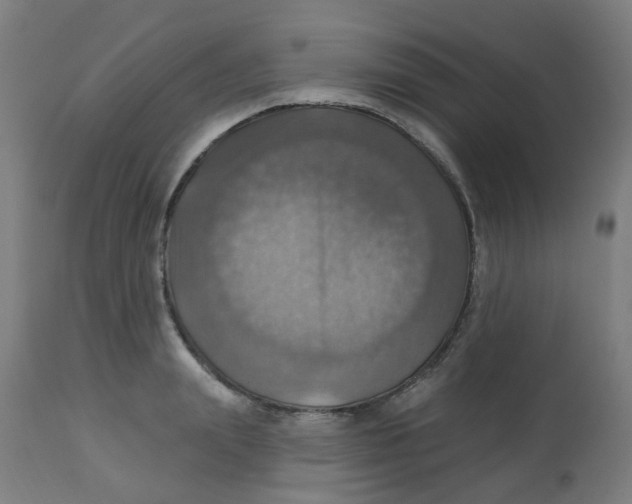 X0000113230847200910081404