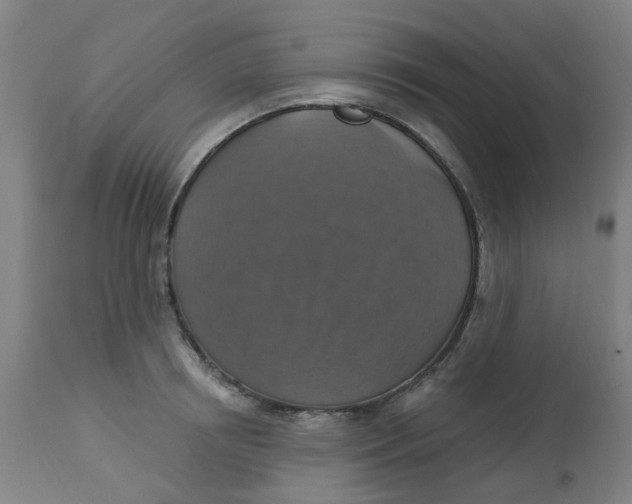 X0000113230850200910081404