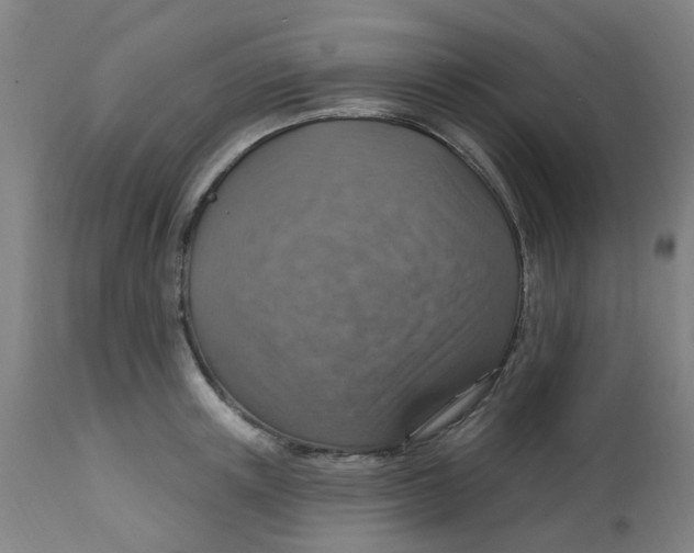 X0000113230851200910081404