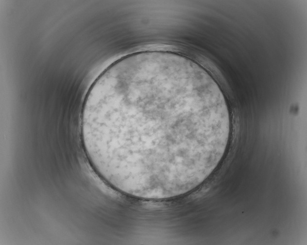 X0000113230852200910081404