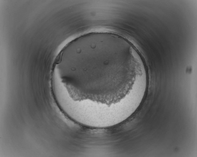 X0000113230853200910081404