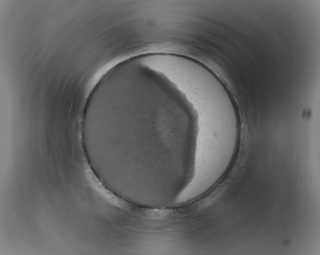 X0000113230854200910081404