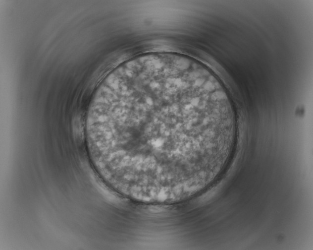 X0000113230857200910081404