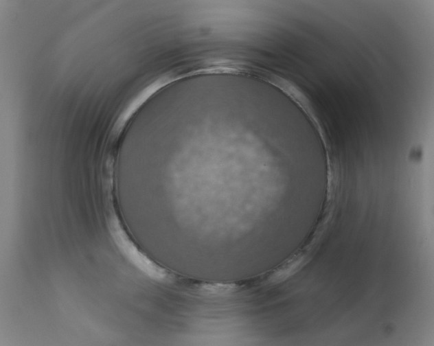 X0000113230859200910081404