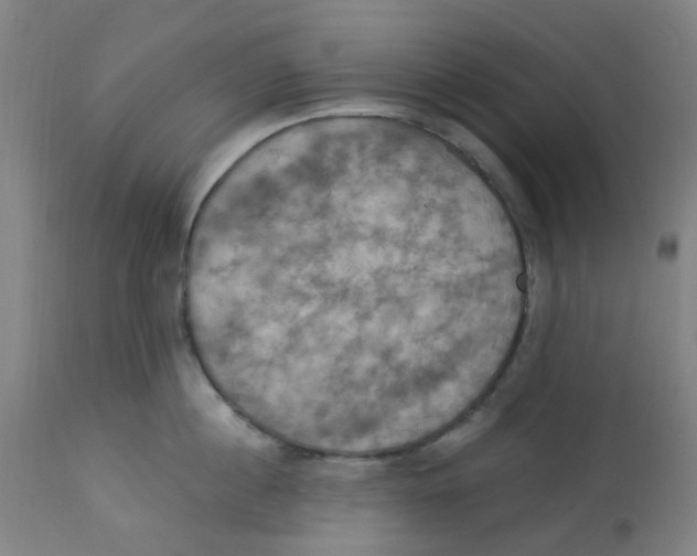 X0000113230860200910081404