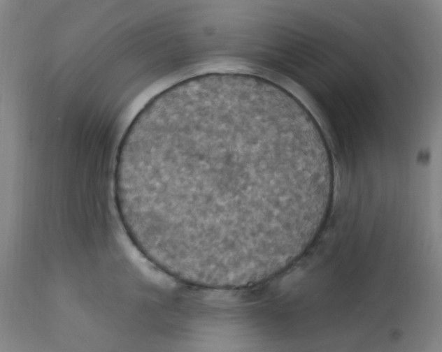 X0000113230861200910081404