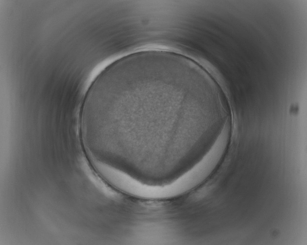 X0000113230862200910081404