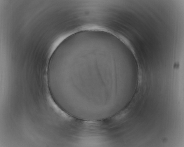 X0000113230863200910081404