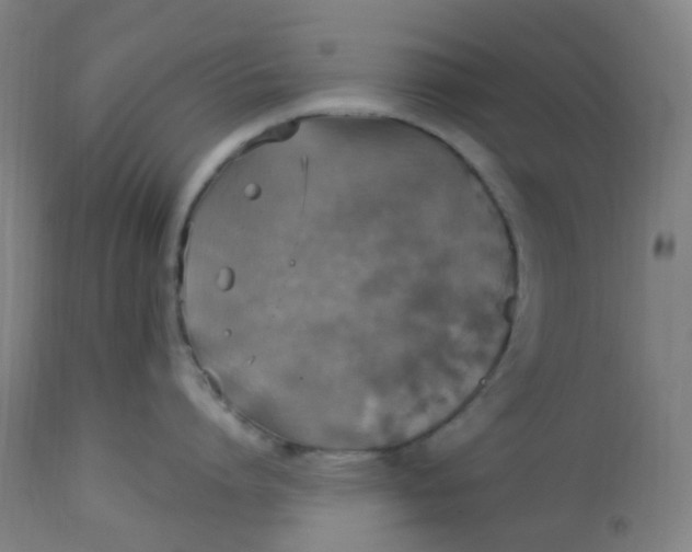 X0000113230864200910081404