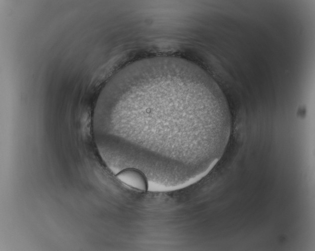 X0000113230866200910081403