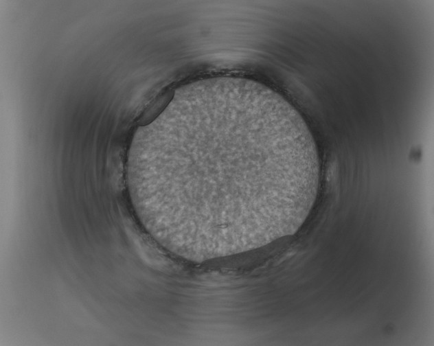 X0000113230868200910081403