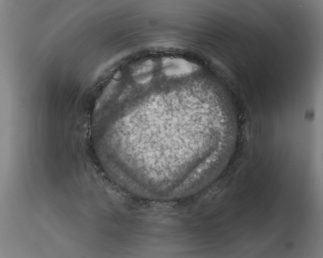 X0000113230870200910081403