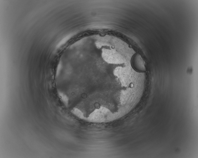 X0000113230871200910081403