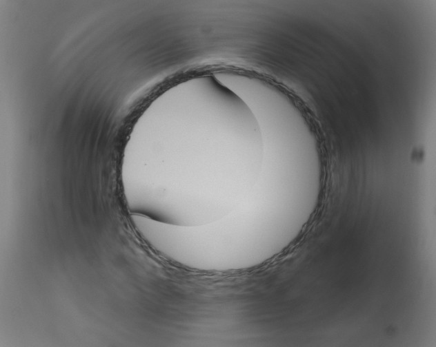 X0000113230872200910081403