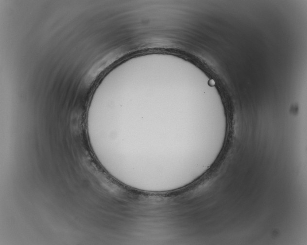 X0000113230873200910081403