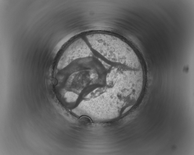 X0000113230875200910081403