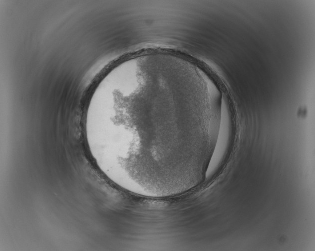 X0000113230878200910081403