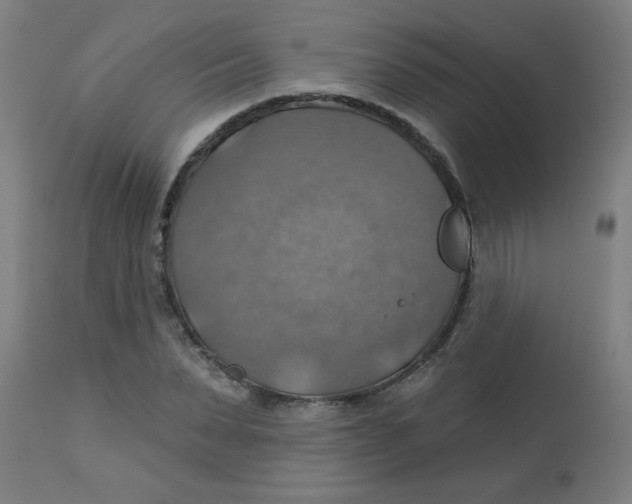 X0000113230879200910081403