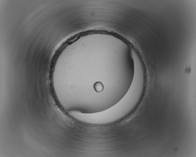 X0000113230880200910081403