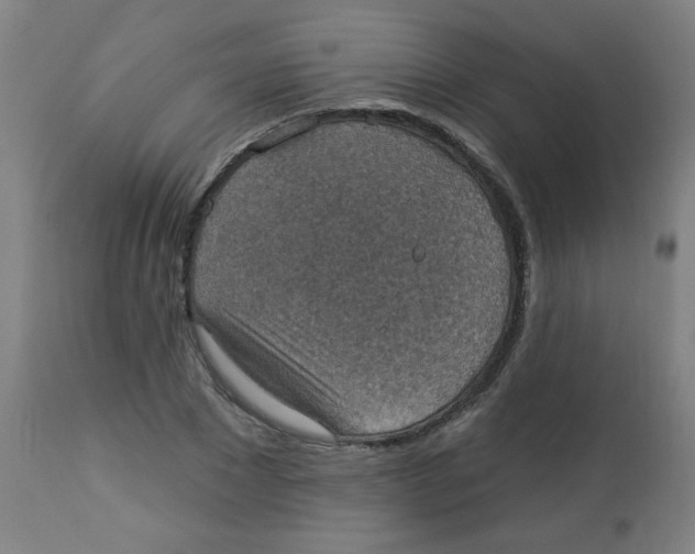 X0000113230881200910081403