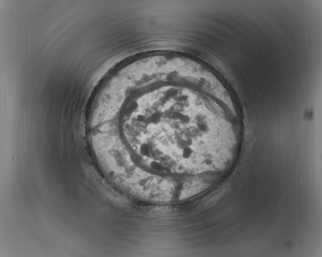 X0000113230883200910081403