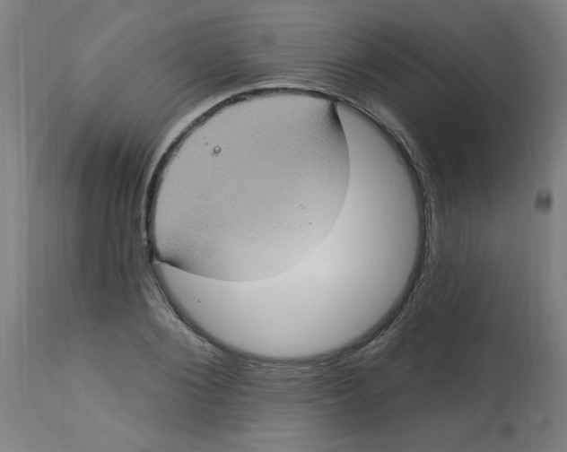 X0000113230884200910081403