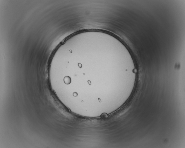 X0000113230885200910081403